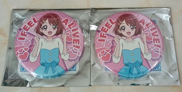トゥインクル缶バッジ13 花寺のどか 2個セット プリティストア限定 キュアグレース ヒーリングっどプリキュア
