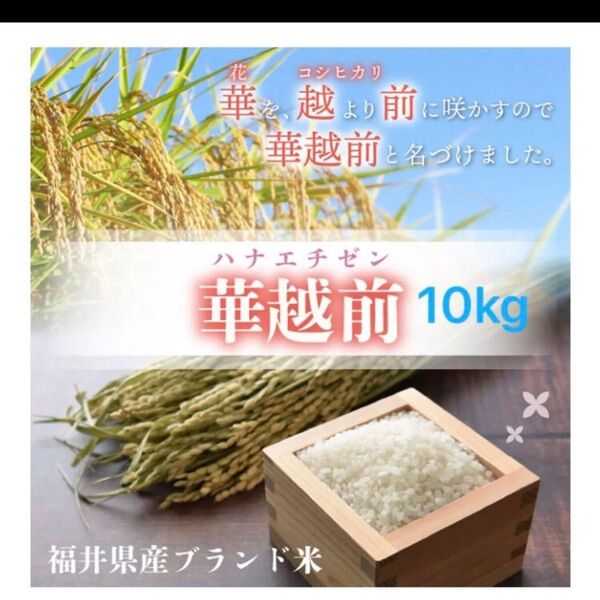 福井県産 華越前 はなえちぜん 10kg 精白米 令和7年5月精米ブランド