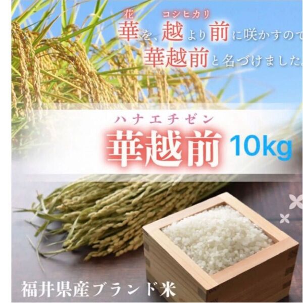 福井県産 華越前 はなえちぜん 10kg 5kg 2袋 精白米 令和6年産ブランド:ハナエチゼン令和7年5月精米