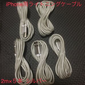 iPhone 充電ケーブル シルバー 2m 5本