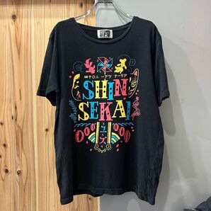 ゆず 新世界 2014年 ライブTシャツ ツアーTシャツ