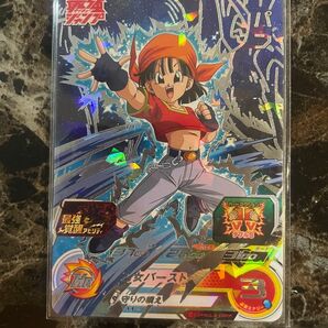 【おまけ付き】sgpsj-01 パン