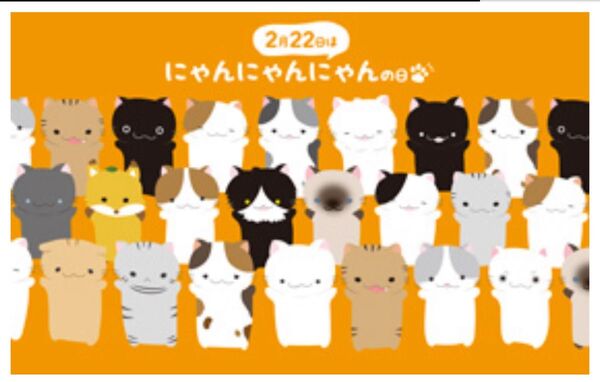 激レア!【残り1点】ダーツライブテーマ 限定 ネコ ねこ 猫 テーマ