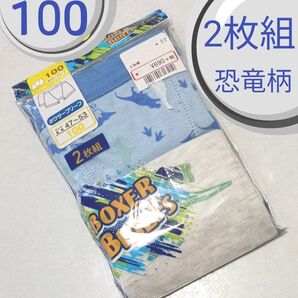 ボクサーブリーフ恐竜柄 2枚組 100cm 新品未開封