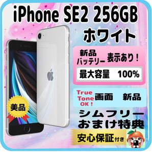 325美品【電池100%表示 画面新品】iPhone SE2 256GB ホワイト