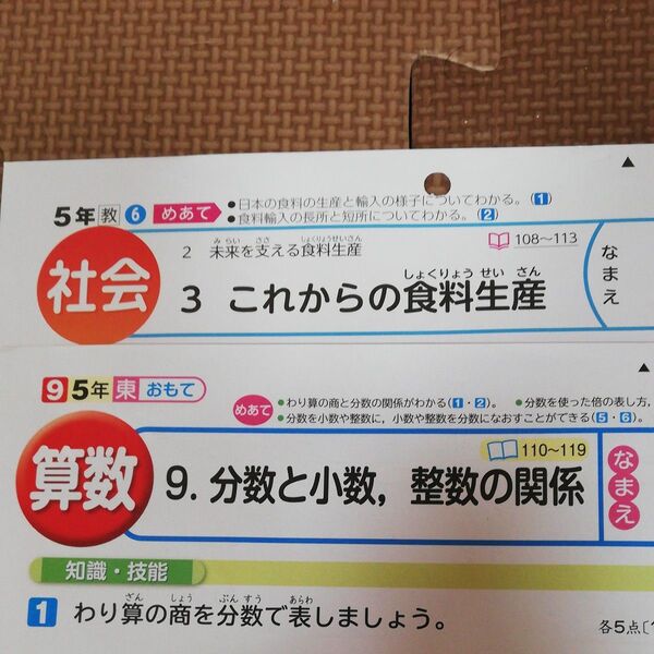 5年生カラーテスト社会 算数