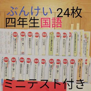 小学4年生 カラーテスト 国語 ぶんけい