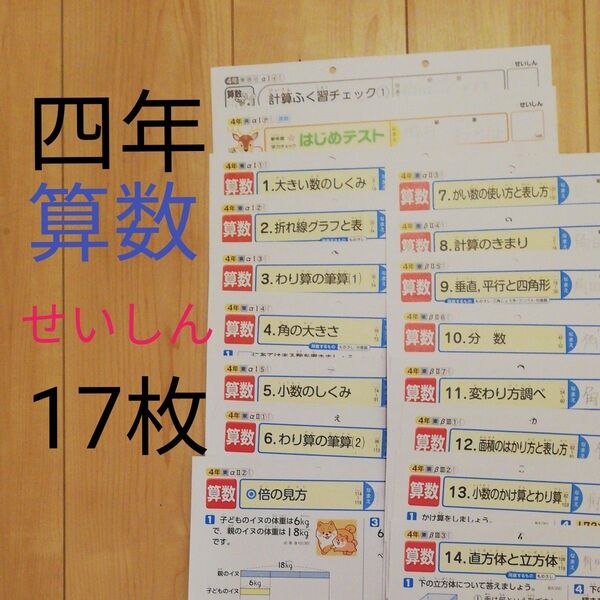 4年生 算数 カラーテスト せいしん