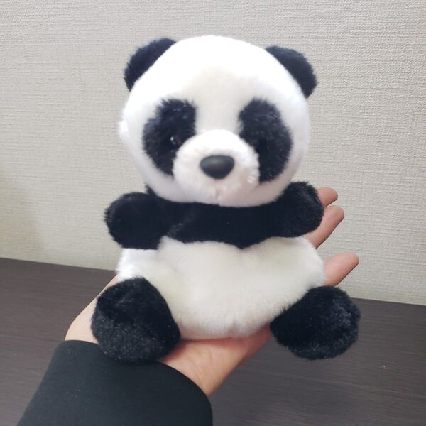 パンダちゃん手のひらぬいぐるみ 中古