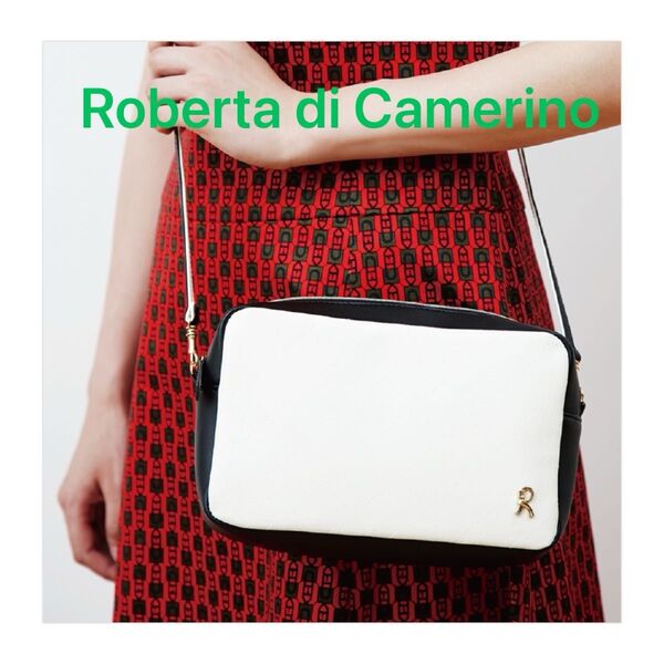 Roberta di Camerino ロベルタディカメリーノ ショルダーバッグ ポシェット 2way バッグ