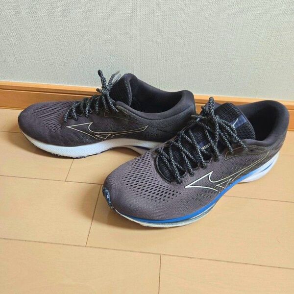 MIZUNO ミズノ ランニングシューズ ウェーブライダー25 29.0cm 中古美品