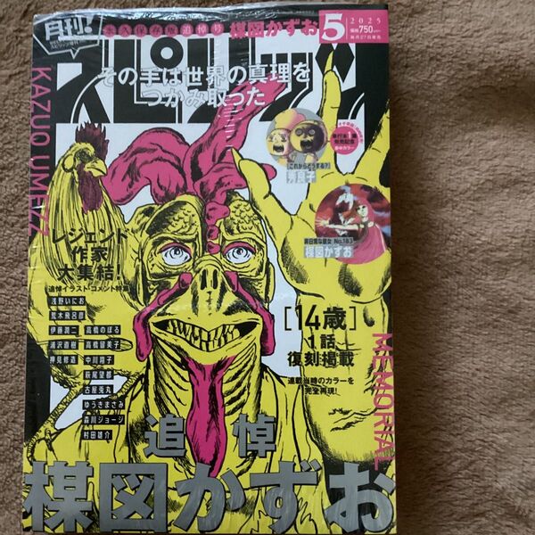 月刊スピリッツ 2025年5月号 ビッグコミックスピリッツ増刊 楳図かずお 復刻掲載