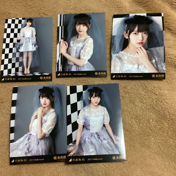 堀未央奈 2017.Halloween 生写真5枚 乃木坂46