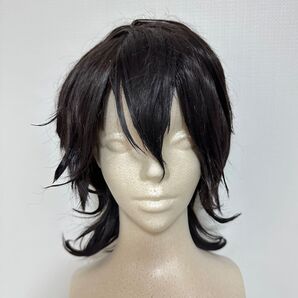 あんさんぶるスターズ 朔間零 ウィッグ