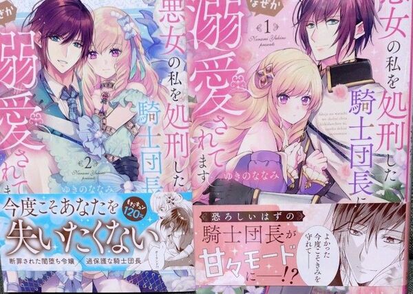 ☆悪女の私を処刑した騎士団長に、なぜか溺愛されてます 12 (FCエトワール) ゆきのななみ/著