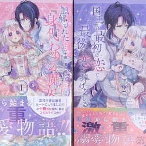 ☆誤解された『身代わりの魔女』は、国王 12 (ガンガンコミックスUP!) 十夜