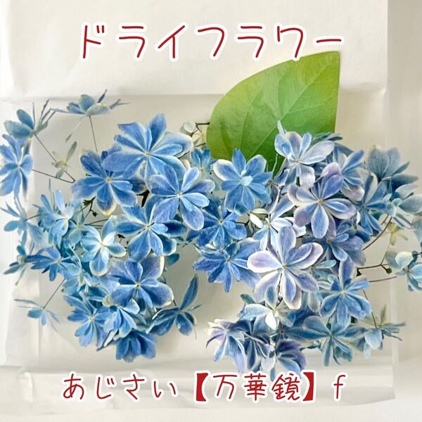 ドライフラワー 花材【あじさい】【万華鏡】ハンドメイド資材 レジン ハーバリウム キャンドル シリカゲル法 密閉+乾燥剤で発送 f