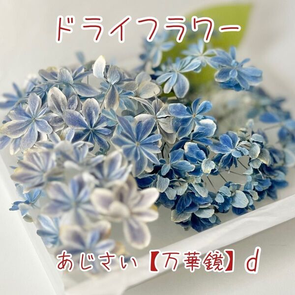 ドライフラワー 花材【あじさい】【万華鏡】ハンドメイド資材 レジン ハーバリウム キャンドル シリカゲル法 密閉+乾燥剤で発送 d