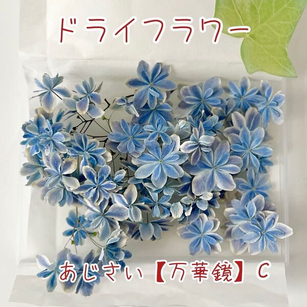 ドライフラワー 花材【あじさい】【万華鏡】ハンドメイド資材 レジン ハーバリウム キャンドル シリカゲル法 密閉+乾燥剤で発送 c