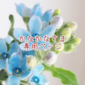 かなかなさま専用ページ ドライフラワー 花材【あじさい】【万華鏡】c,f