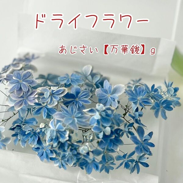 ドライフラワー 花材【あじさい】【万華鏡】ハンドメイド資材 レジン ハーバリウム キャンドル シリカゲル法 密閉+乾燥剤で発送 g