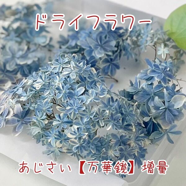 ドライフラワー 花材【あじさい】【万華鏡】ハンドメイド資材 レジン ハーバリウム キャンドル シリカゲル法 密閉+乾燥剤で発送