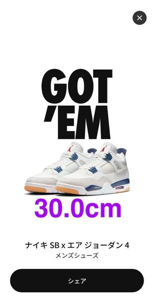 Nike SB Air Jordan 4 SP "Navy" ナイキ SB エアジョーダン 4"ネイビー" 30.0cm