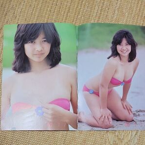 宮崎美子 水着ビキニ 文庫サイズ切り抜き 昭和タレント