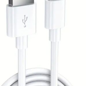 USB Type-C ケーブル