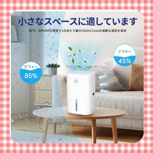 小型 除湿器 大容量 4500ml ダブルペルチェ式・強力除湿・除湿量850ml