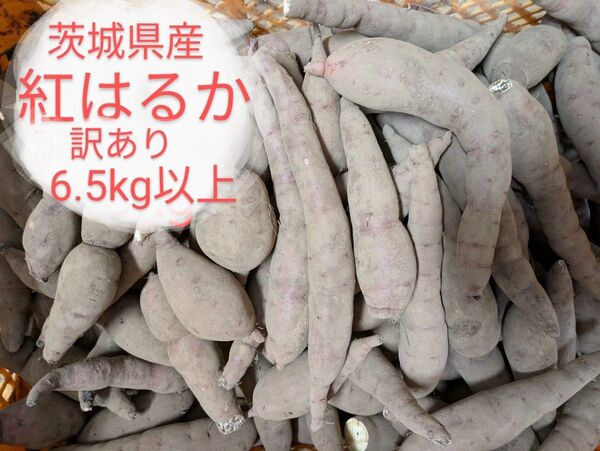 茨城県産紅はるか 訳あり 細長.一口サイズ