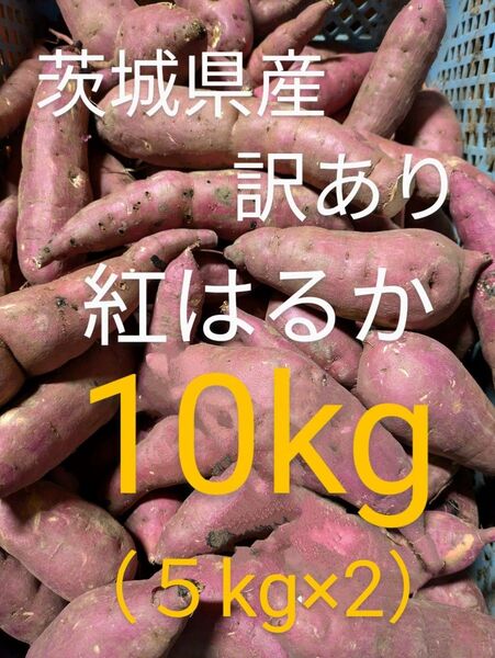 茨城県産さつまいも 訳あり紅はるか