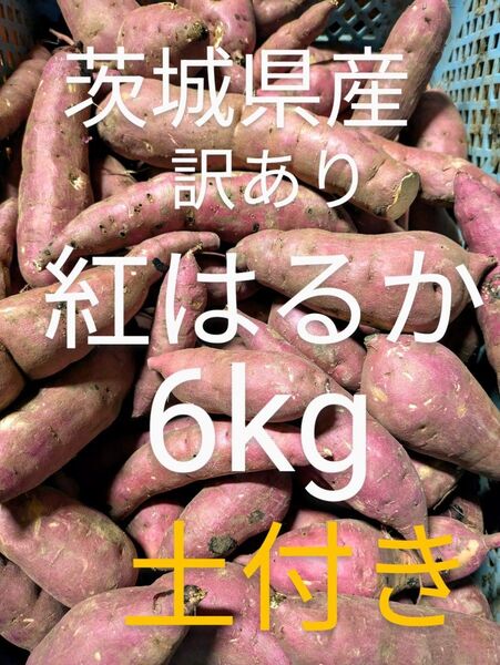 茨城県産さつま芋 訳あり紅はるか