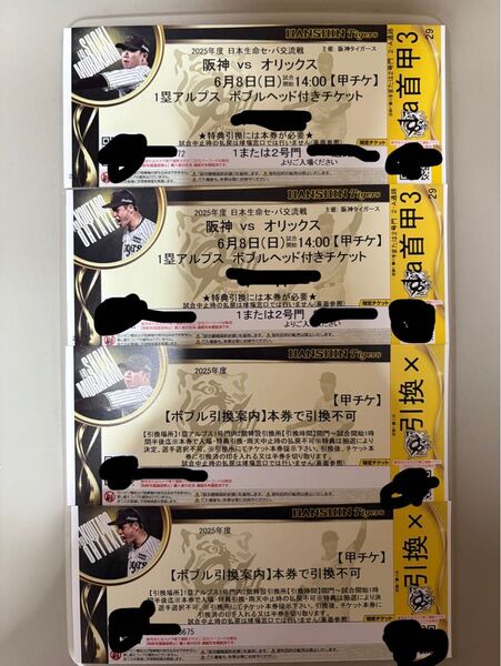 【説明欄、熟読必須、購入条件あり】6月8日14時 阪神対オリックス 1塁アルプス 大人連番(入場券2枚のみ)チケット