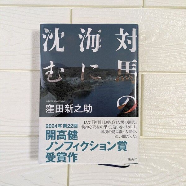対馬の海に沈む 窪田新之助 集英社