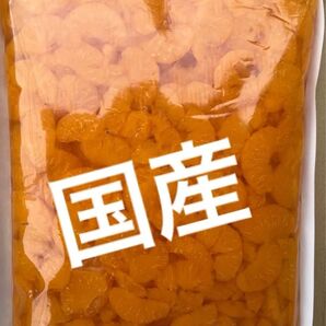 【業務用 甘みあっさりみかん^_^