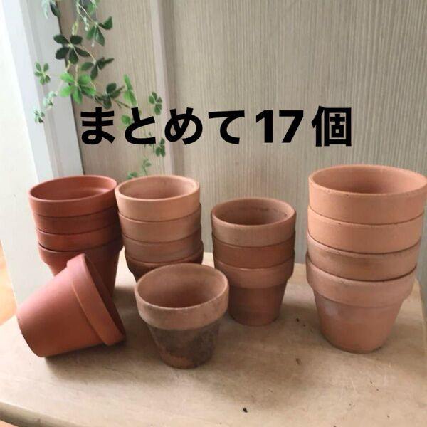 ③【まとめて17個】実生鉢 素焼き鉢 植木鉢 テラコッタ 多肉植物