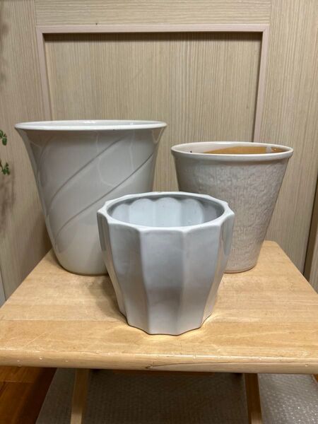 送料込み 植木鉢 【まとめて3個】 白鉢 陶器鉢 信楽 0516-d 山野草鉢
