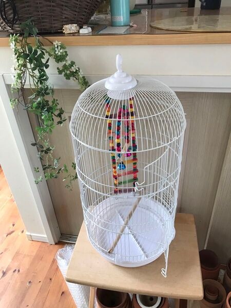 バードケージ 鳥かご バードパレス