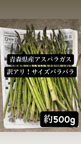 青森県産アスパラガス サイズバラバラ 約500g