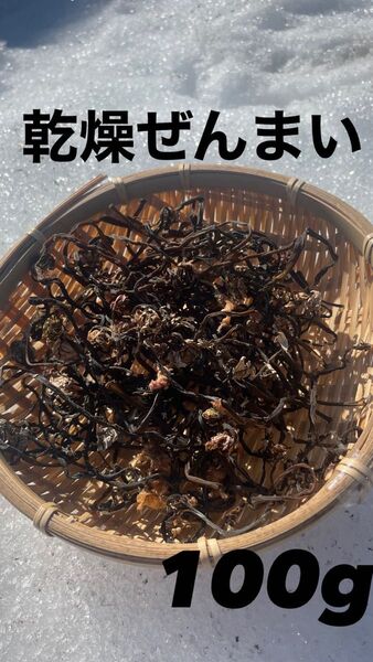 青森県産 乾燥ぜんまい ゼンマイ ヤマドリゼンマイ 約100g