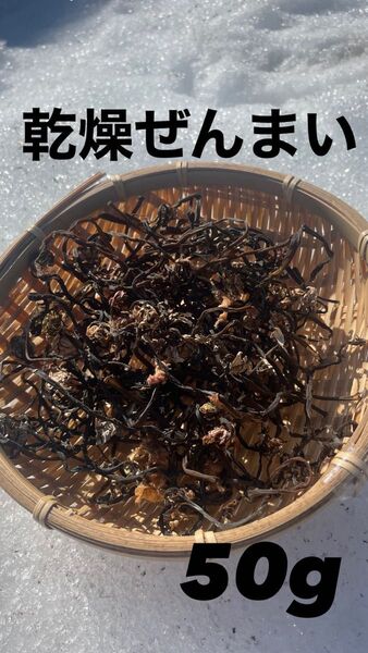 青森県産 乾燥ぜんまい 山採りゼンマイ 50g