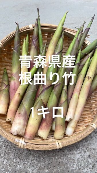 青森県産 根曲り竹 筍 たけのこ 山菜 1キロ