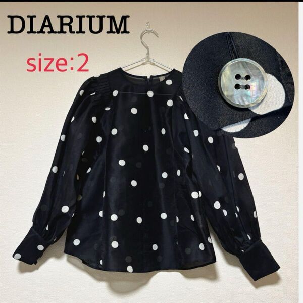 DIARIUM ディアリウムシアードットボリュームスリーブブラウス 2 M