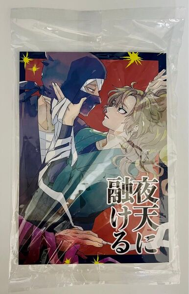 同人誌 雑伊 夜天に融ける 鳥葬/のびたろう