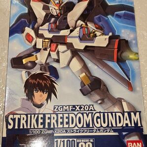 ZGMF-X20A ストライクフリーダムガンダム (1/100スケール SEED DESTINY 09 機動戦士ガンダム