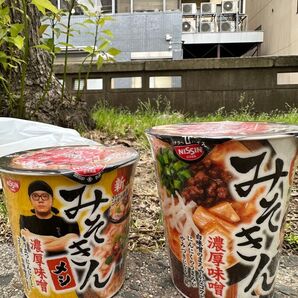 みそきん