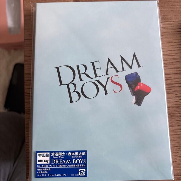 DREAM BOYS 【初回盤】Blu-ray 渡辺翔太・森本慎太郎