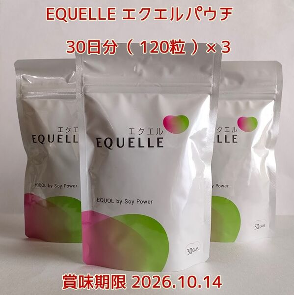 大塚製薬 エクエル エクエルパウチ 30日分(120粒)× 3