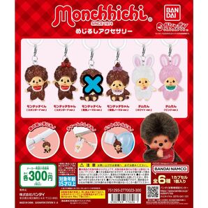 モンチッチ めじるしアクセサリー 5個セット